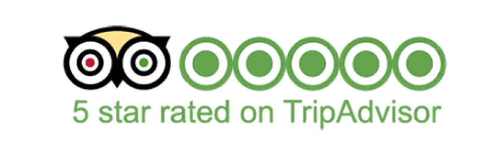 Echo Trails' Swiss Alps Tours 5-star ratings Trip Advisor